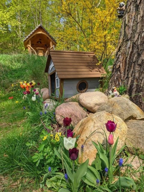 Ferien im Tiny House House in Mecklenburgische Seenplatte