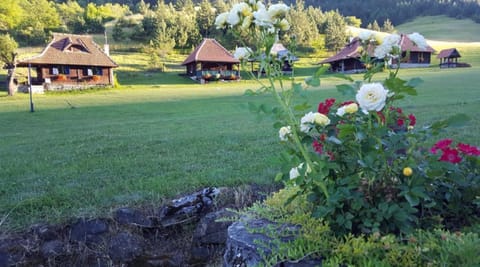 Neighbourhood, Garden view