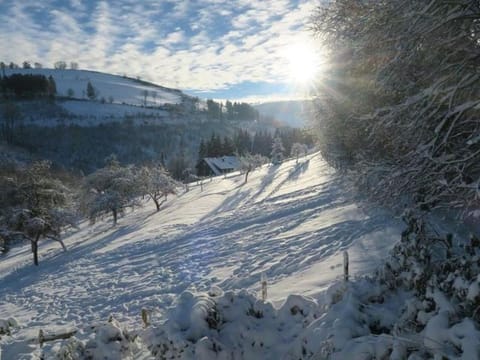 Natural landscape, Winter, Mountain view