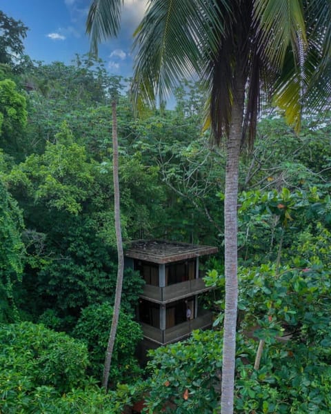 Property building, Natural landscape, Garden