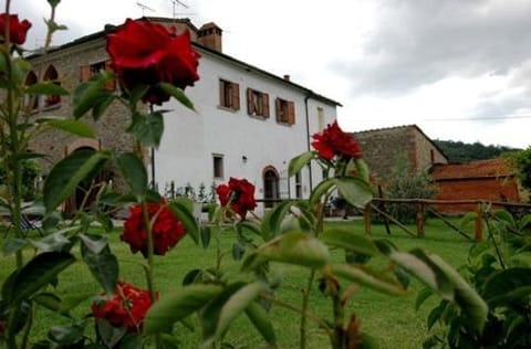 Facade/entrance, Garden, Decorative detail