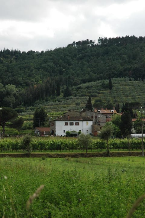 Agriturismo Villalba Apartamento in Arezzo