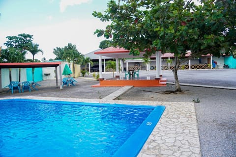 Day, Pool view, Swimming pool