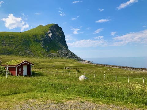 Natural landscape, Garden, Hiking