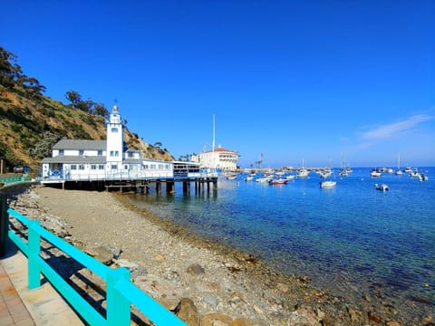 Lux Oceanfront Penthouse Suite Wpanoramic Views Villa in Avalon