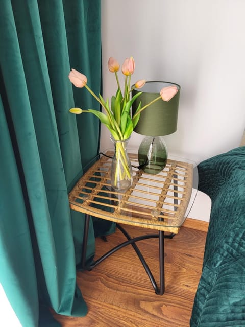 Blue Apartament Apartment in West Pomeranian Voivodeship, Poland