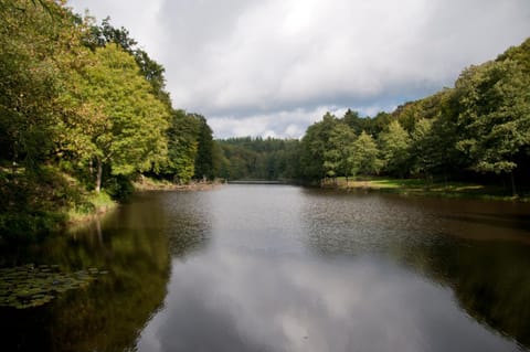 Natural landscape, Area and facilities