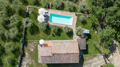 Sassolaia Villa in Radda in Chianti