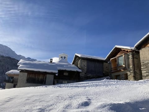 Gääschi Leis House in Vals