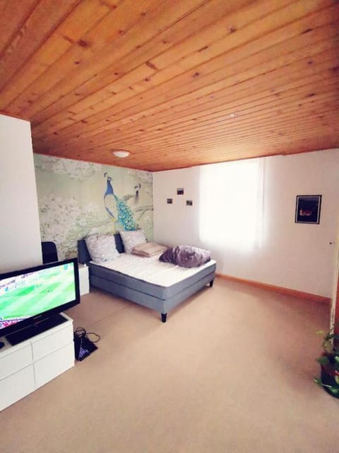 Bed, TV and multimedia, Bedroom