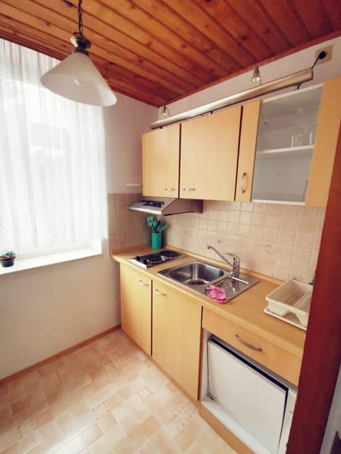 Kitchen or kitchenette, pet friendly