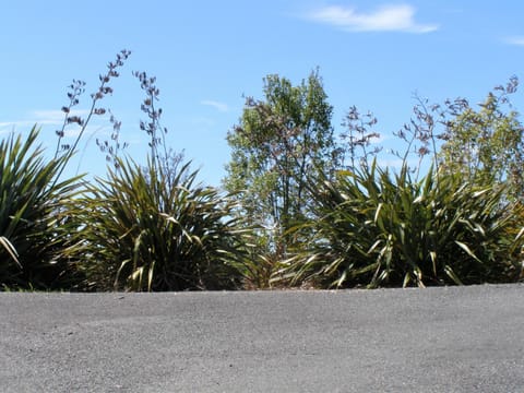 Facade/entrance, Natural landscape