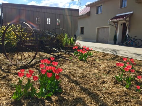 Facade/entrance, Garden