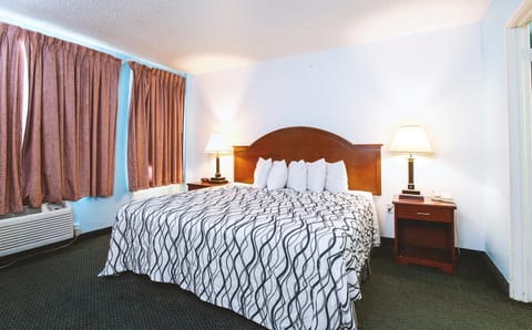 Sky-Palace Inn & Suites Wichita East Hôtel in Wichita