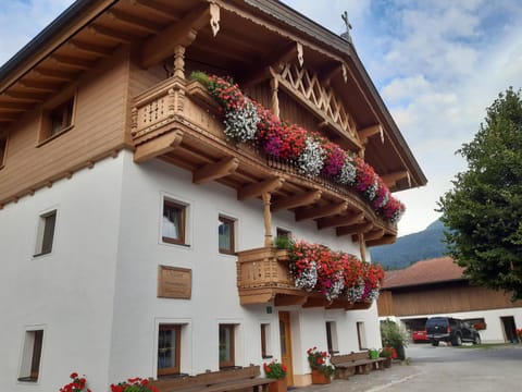 Property building, Summer