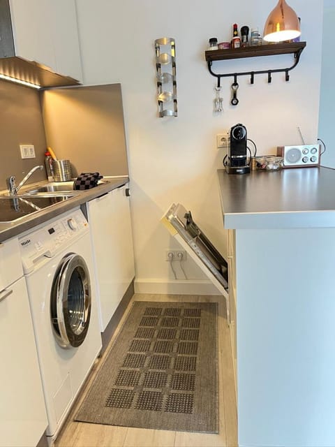 Kitchen or kitchenette, dishwasher, minibar, stove, washing machine