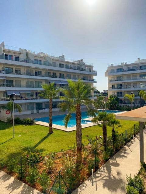 Garden, Pool view, Swimming pool