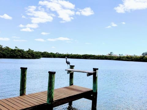 Blue Lagoon Estate House in Estero Island