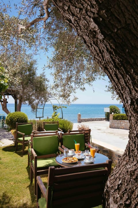 Patio, Food and drinks