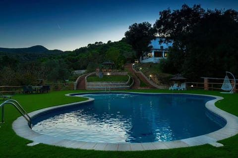 Garden, Garden view, Swimming pool, Swimming pool