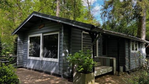 Property building, Garden, Garden view