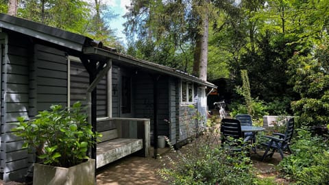 Property building, Garden, Garden view