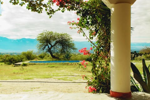 Hotel Texas Bed and Breakfast in Cafayate