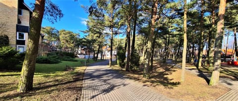 Nida Kopu 3 Apartment Apartment in Klaipėda County, Lithuania