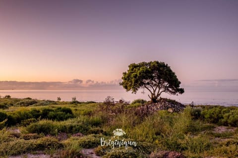 SHB Sonvanger House in Western Cape