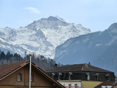 View (from property/room), Landmark view