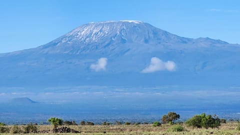 Little Amanya Camp Amboseli Luxury tent in Kenya