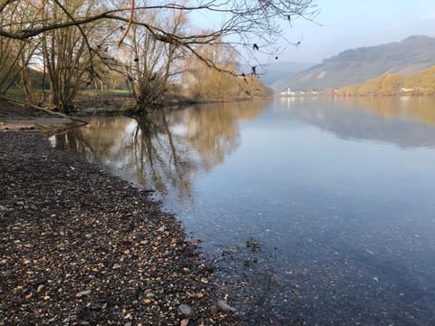 Natural landscape, Beach, Hiking, River view