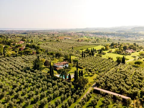 Property building, Nearby landmark, Spring, Day, Natural landscape, Bird's eye view, Garden