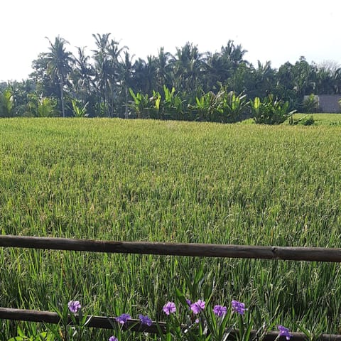 PB Pondok Gandalangu Garden House Bali Hotel in Sukawati