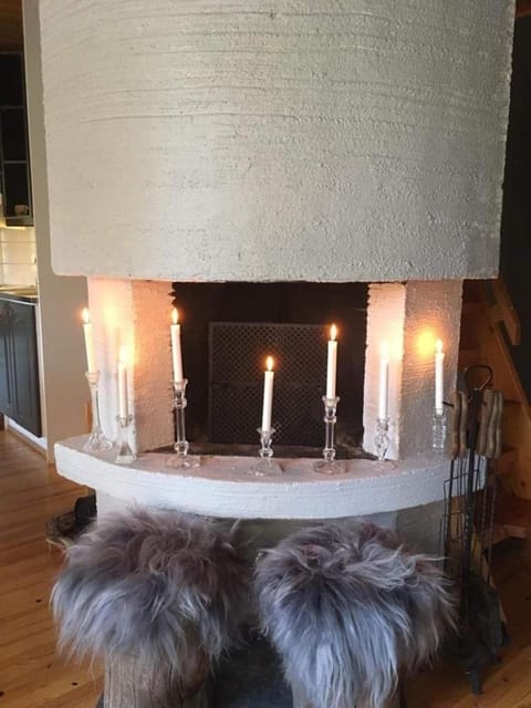 Koppelon kieppi Apartment in Lapland