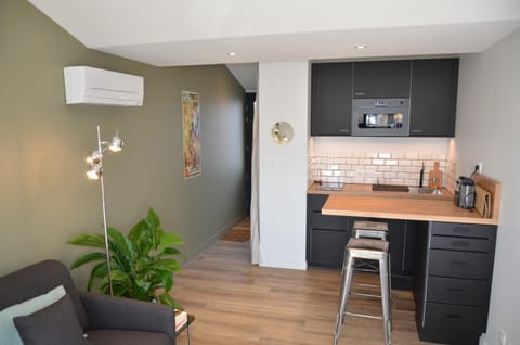 La Griotte - Studio tout confort - Lyon - Tassin Apartment in Tassin-la-Demi-Lune