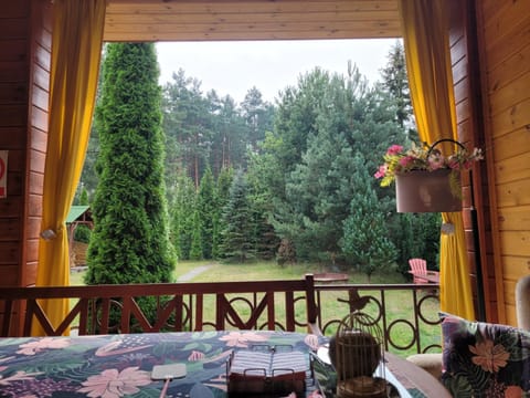 Zielony Domek - Tleń Bory Tucholskie House in Pomeranian Voivodeship