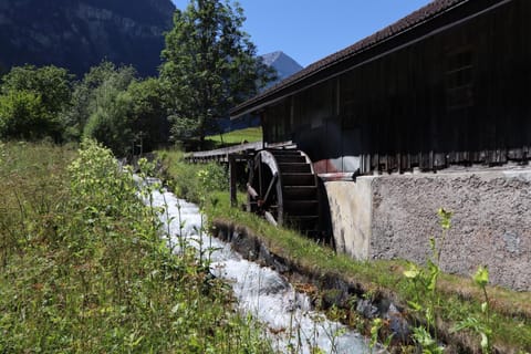 Nearby landmark, Area and facilities