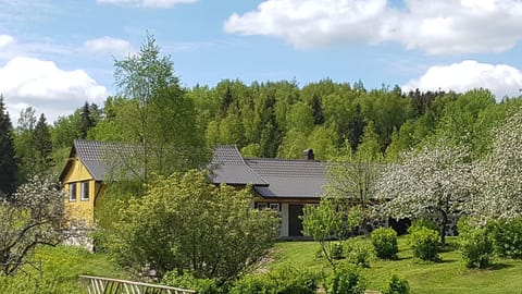 Garden, Garden view