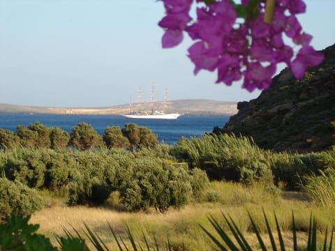 Beach, Garden view, Sea view