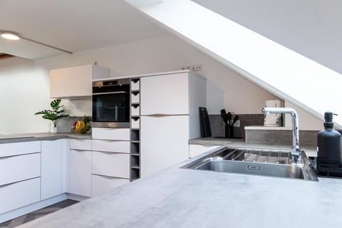 Kitchen or kitchenette, dishwasher, oven, stove