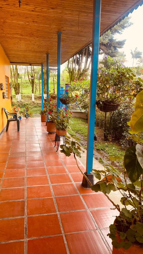 Hospedaje Campestre Araucarias Chambre d’hôte in Santa Rosa de Cabal