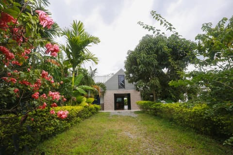 Property building, Facade/entrance, Garden