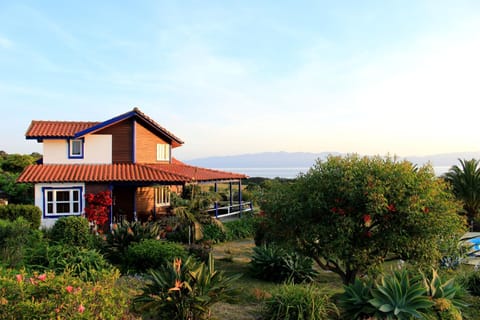 Property building, Garden, Garden view