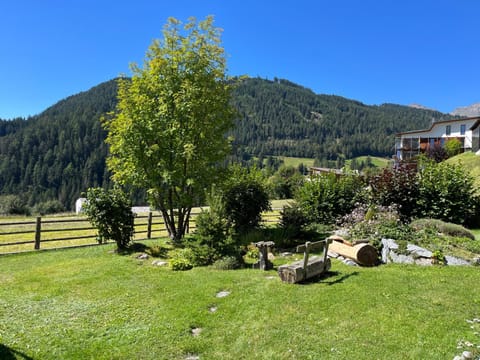 Summer, Garden, Autumn, Garden view