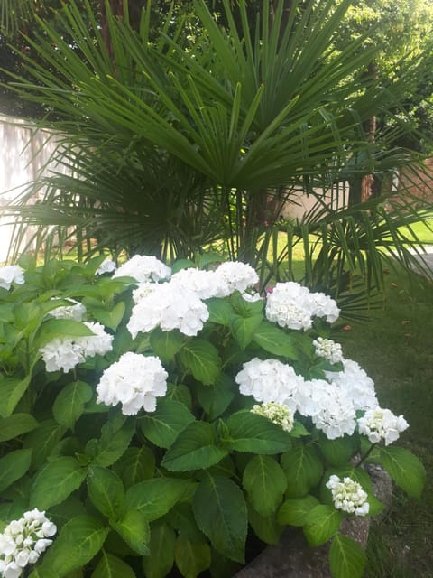 Villa Fiorentino Bed and Breakfast in Padua