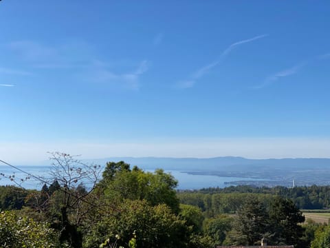 Natural landscape, Lake view