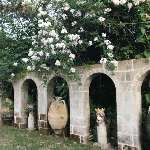 La Gallina Felice B&B Alojamiento y desayuno in Piano di Sorrento