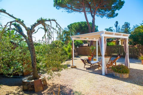 Garden, Garden view