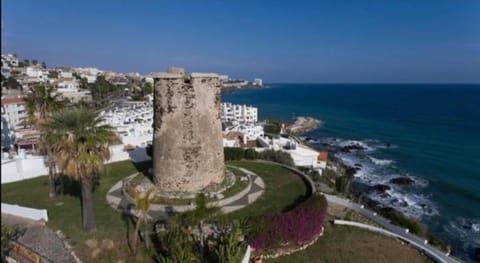 Bird's eye view, Garden